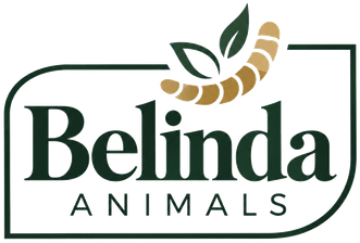 Belinda Animals